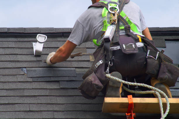 Roof Gutter Cleaning in Reno, TX