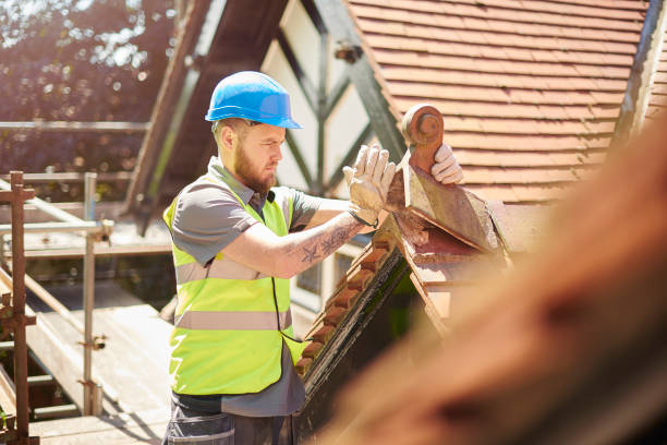 Professional Roofing Contractor in Reno, TX